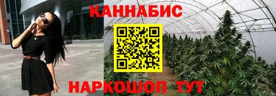 дживик Малгобек