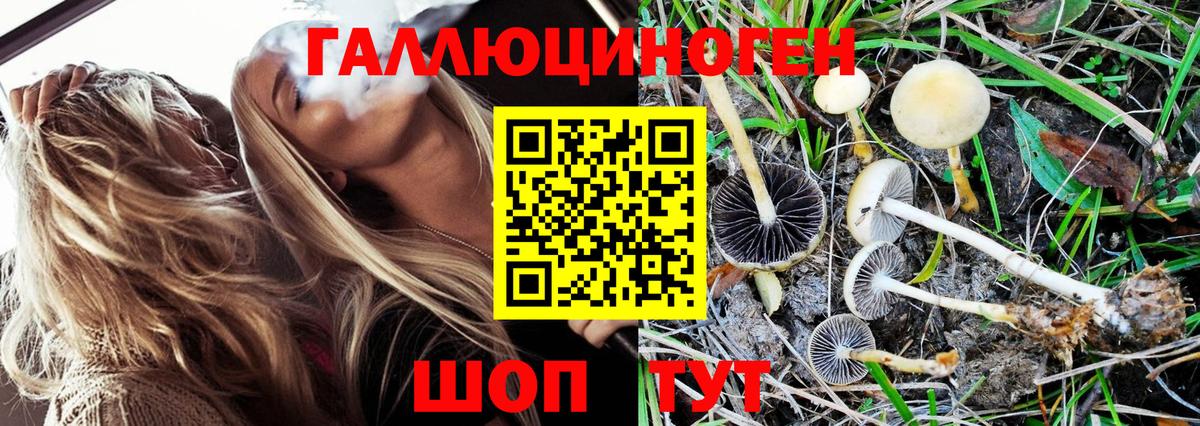 Галлюциногенные грибы мицелий Узловая